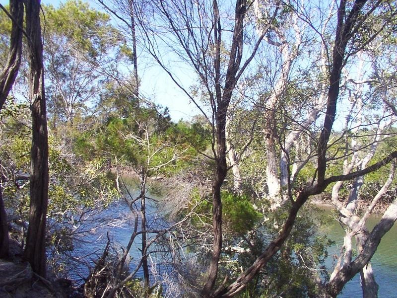 77 Davenport Drive, Coonarr QLD 4670