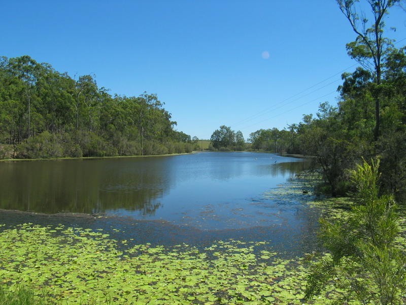 491 Delan Road, Delan QLD 4671