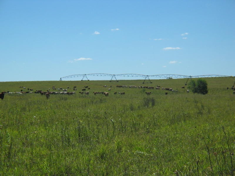 491 Delan Road, Delan QLD 4671