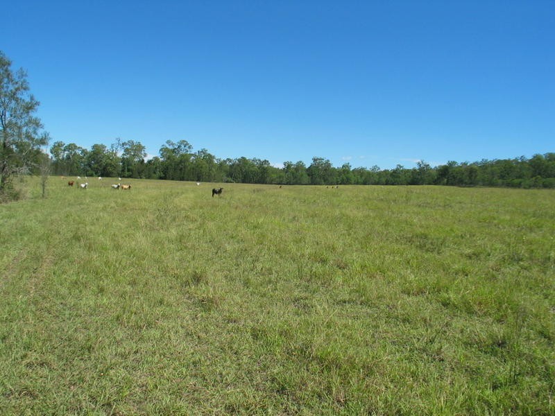 491 Delan Road, Delan QLD 4671