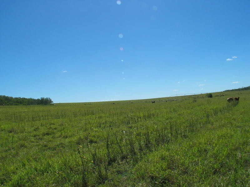 491 Delan Road, Delan QLD 4671