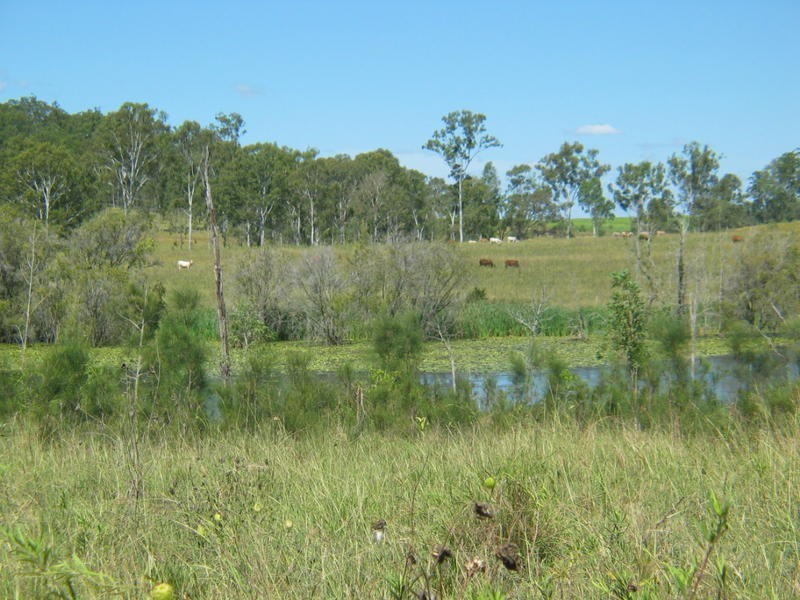 491 Delan Road, Delan QLD 4671