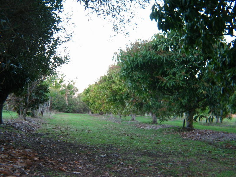 580 Windermere Road, Windermere QLD 4670