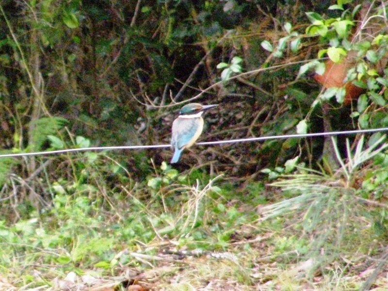 38 Lagoon Drive, Moore Park Beach QLD 4670