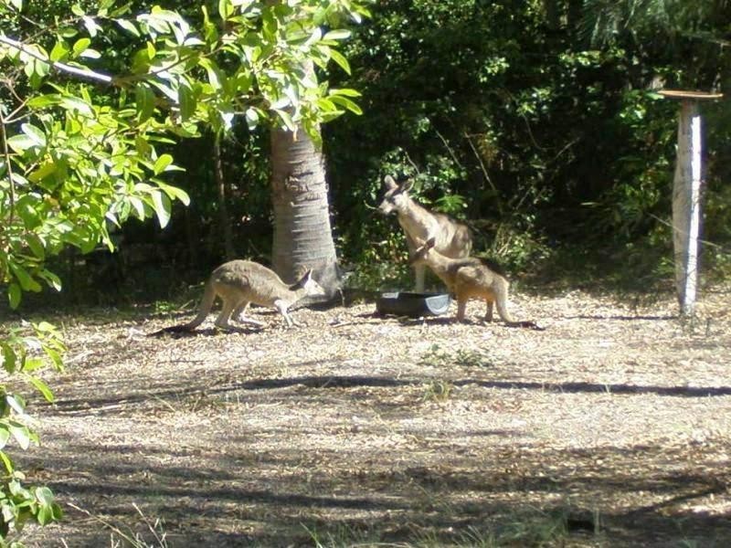 38 Lagoon Drive, Moore Park Beach QLD 4670