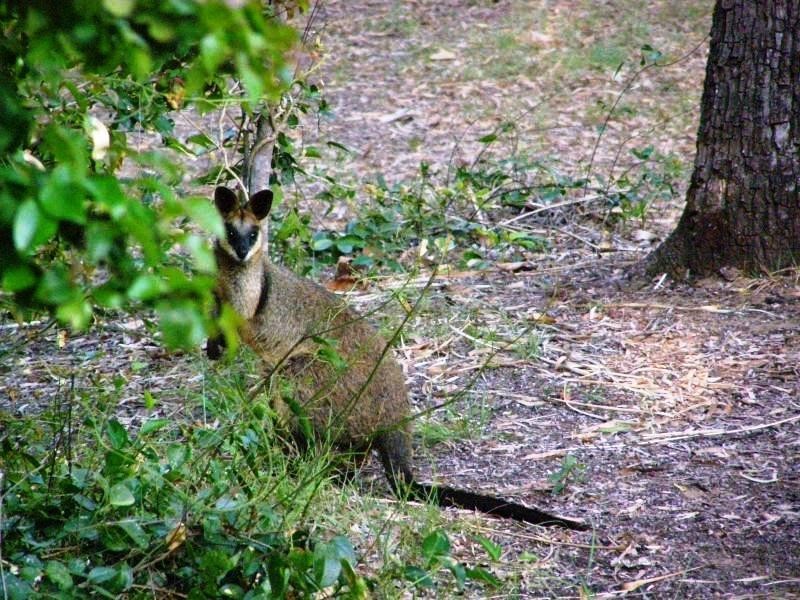 38 Lagoon Drive, Moore Park Beach QLD 4670