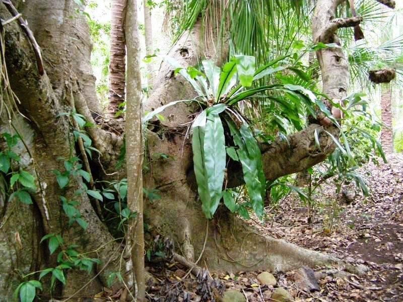 38 Lagoon Drive, Moore Park Beach QLD 4670