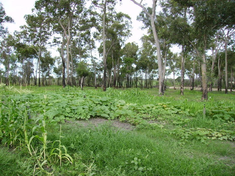 36 Paynes Road, South Kolan QLD 4670