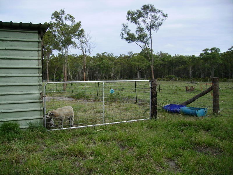 36 Paynes Road, South Kolan QLD 4670