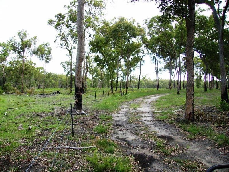 36 Paynes Road, South Kolan QLD 4670
