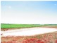 485 Bargara Road, Qunaba QLD 4670