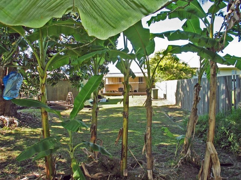 50 Crofton Street, Bundaberg West QLD 4670