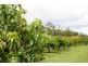 86 Simpsons Road, Bullyard QLD 4671