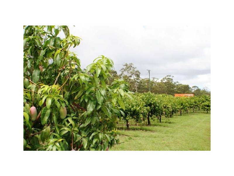 86 Simpsons Road, Bullyard QLD 4671