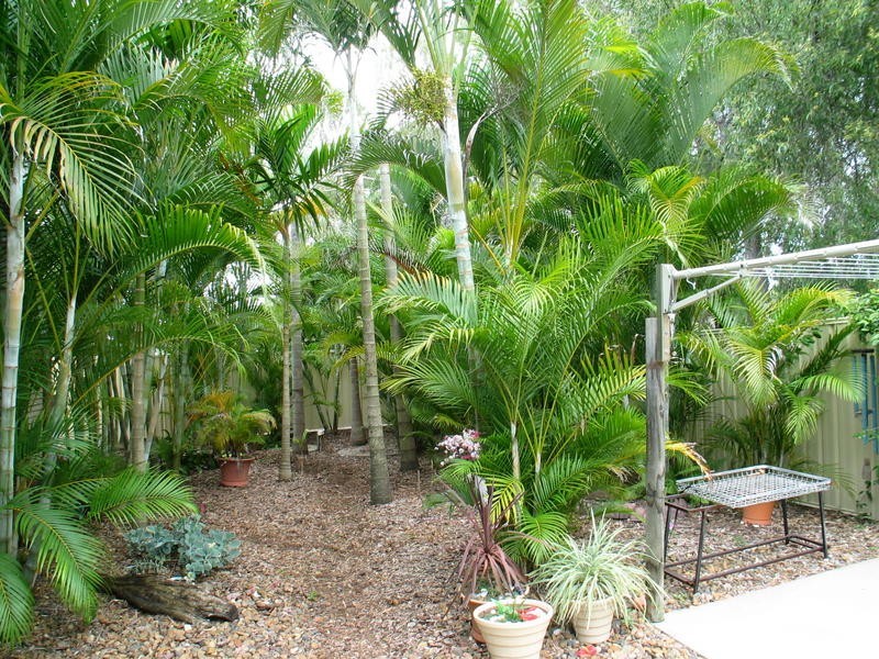 2 Orchid Drive, Moore Park Beach QLD 4670