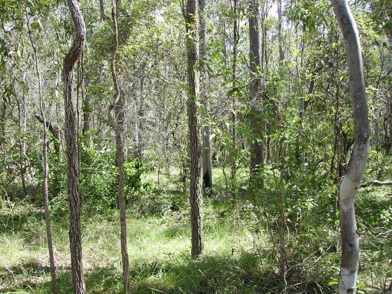 67 Walkers Road, South Bingera QLD 4670