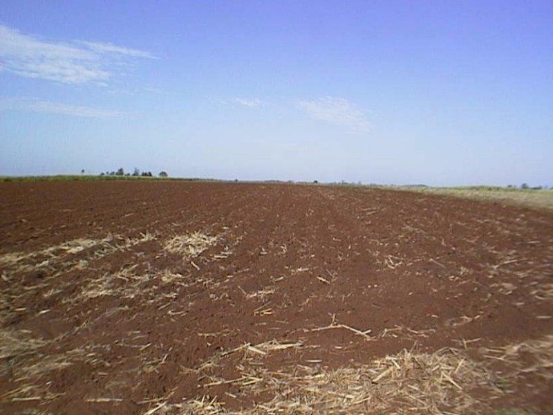 Lot1 / 807 Pine Creek Road, Pine Creek QLD 4670