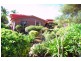 61 St Lucia Cr,, Avoca QLD 4670