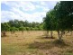 1056 Moorlands Road, Moorland QLD 4670