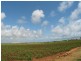 Burnett Heads QLD 4670