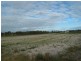 Elliott QLD 4670
