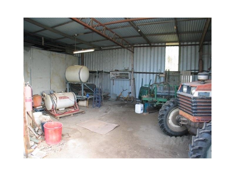 Elliott QLD 4670