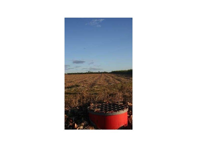 1107 Farnsfield Road, Farnsfield QLD 4660