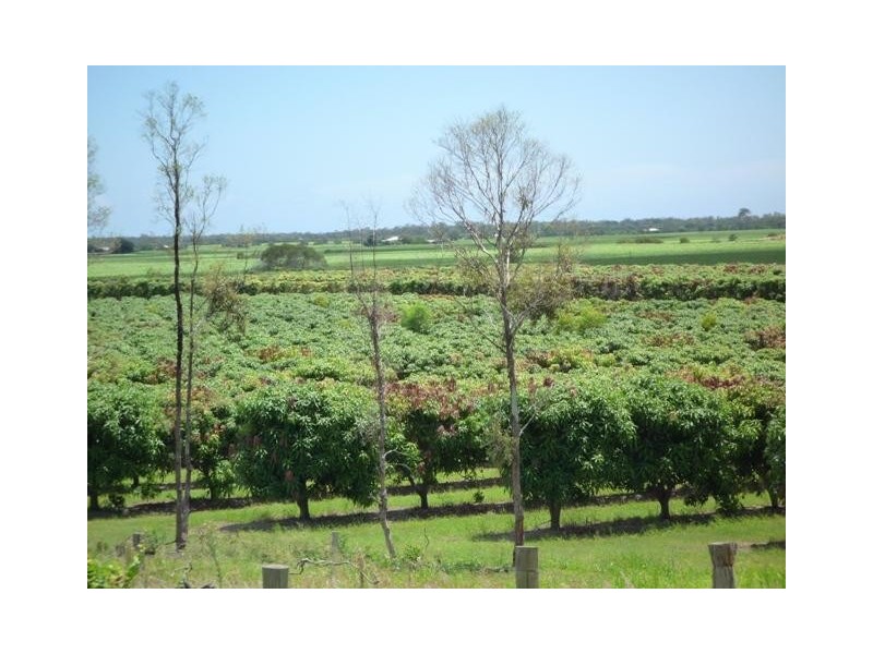 858 Gooburrum Road, Welcome Creek QLD 4670