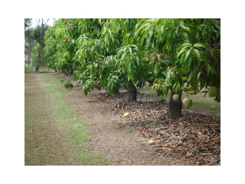 858 Gooburrum Road, Welcome Creek QLD 4670