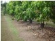 858 Gooburrum, Welcome Creek QLD 4670