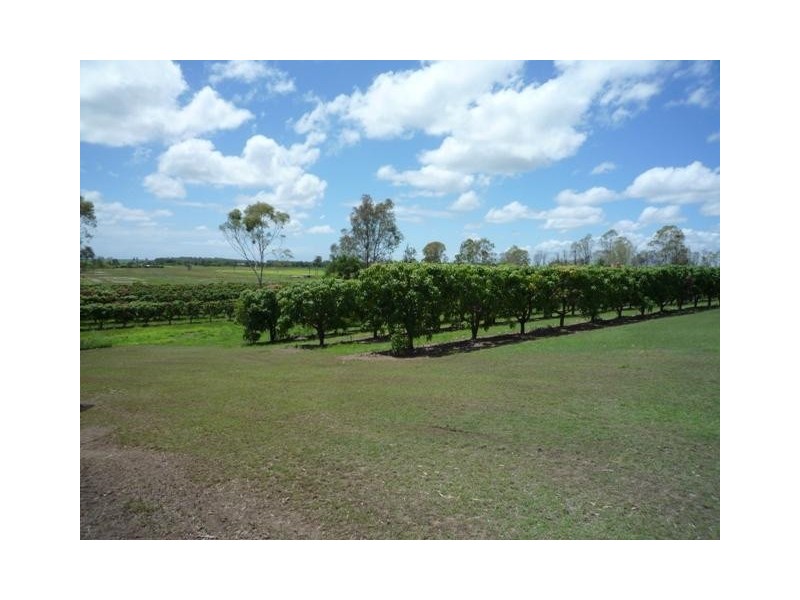 858 Gooburrum, Welcome Creek QLD 4670