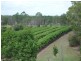 858 Gooburrum, Welcome Creek QLD 4670