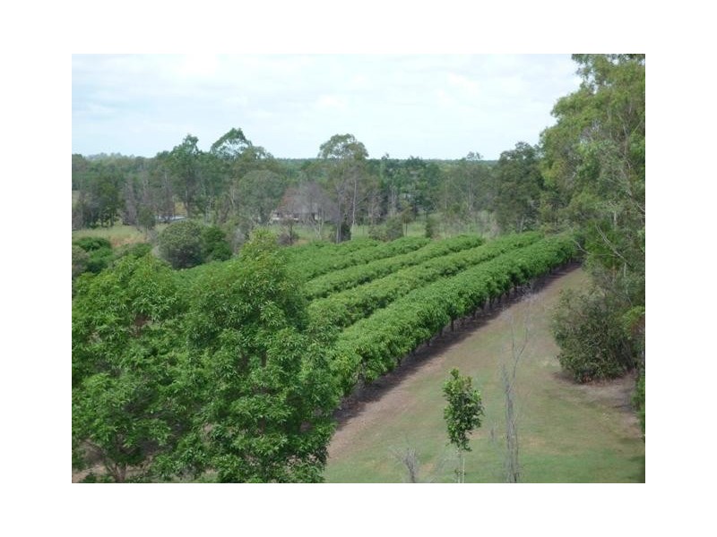 858 Gooburrum, Welcome Creek QLD 4670