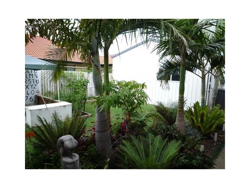 23 Balaam Drive, Kalkie QLD 4670