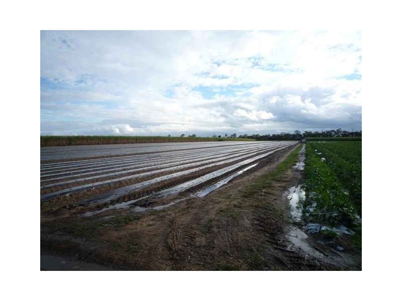 504 Dr Mays Crossing Road, Alloway QLD 4670