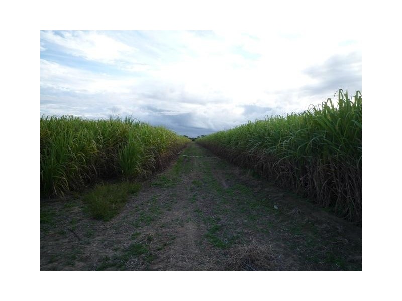 504 Dr Mays Crossing Road, Alloway QLD 4670