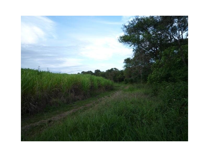 504 Dr Mays Crossing Road, Alloway QLD 4670