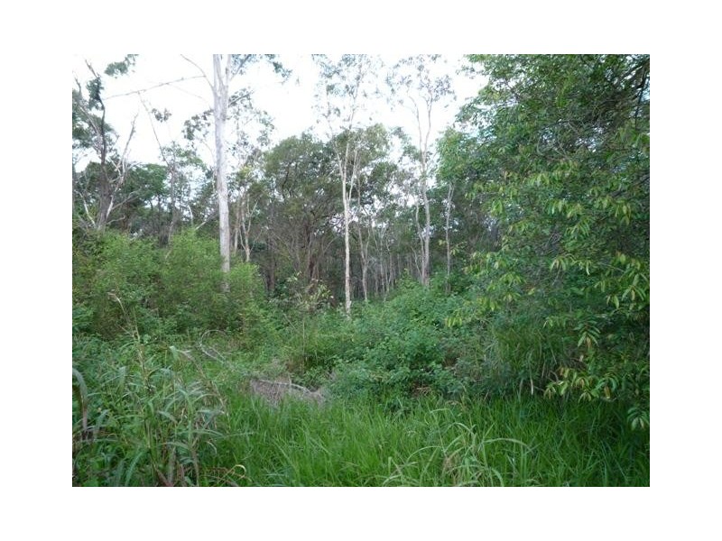 504 Dr Mays Crossing Road, Alloway QLD 4670