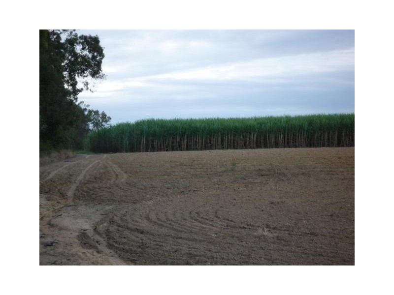 504 Dr Mays Crossing Road, Alloway QLD 4670