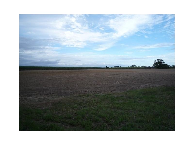 504 Dr Mays Crossing Road, Alloway QLD 4670