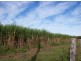 381 Three Chain Road, Calavos QLD 4670