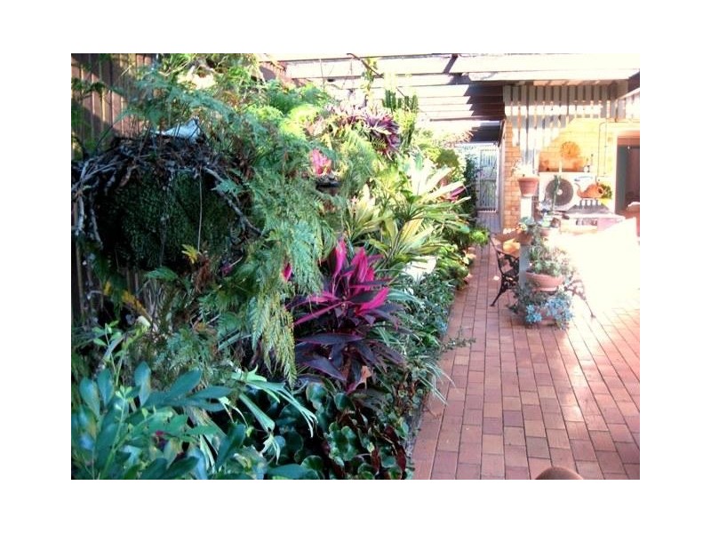 30 Limpus Crescent, Kalkie QLD 4670