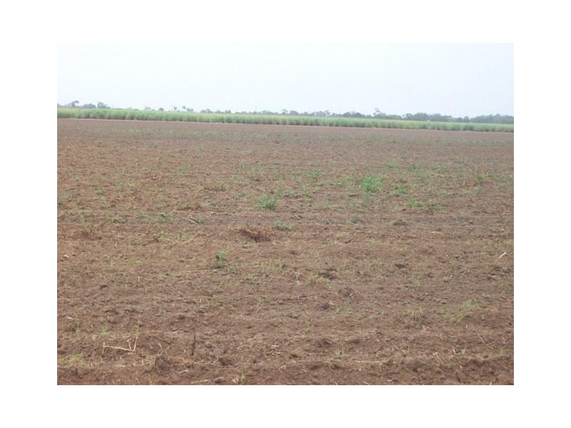 Lot 1 Fallon Rocks Road, Calavos QLD 4670