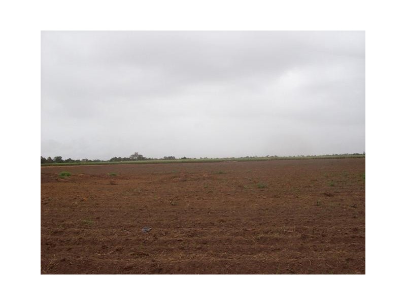 Lot 1 Fallon Rocks Road, Calavos QLD 4670