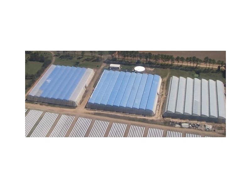 L1&86/101 Fallons Rocks Road, Calavos QLD 4670