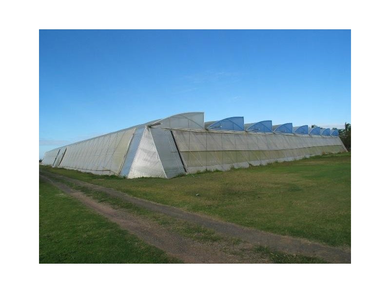 L1&86/101 Fallons Rocks Road, Calavos QLD 4670