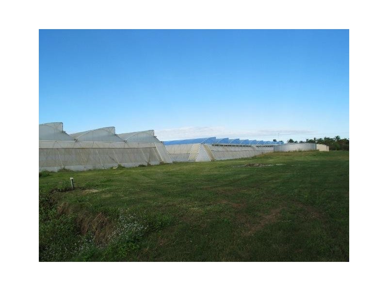 L1&86/101 Fallons Rocks Road, Calavos QLD 4670