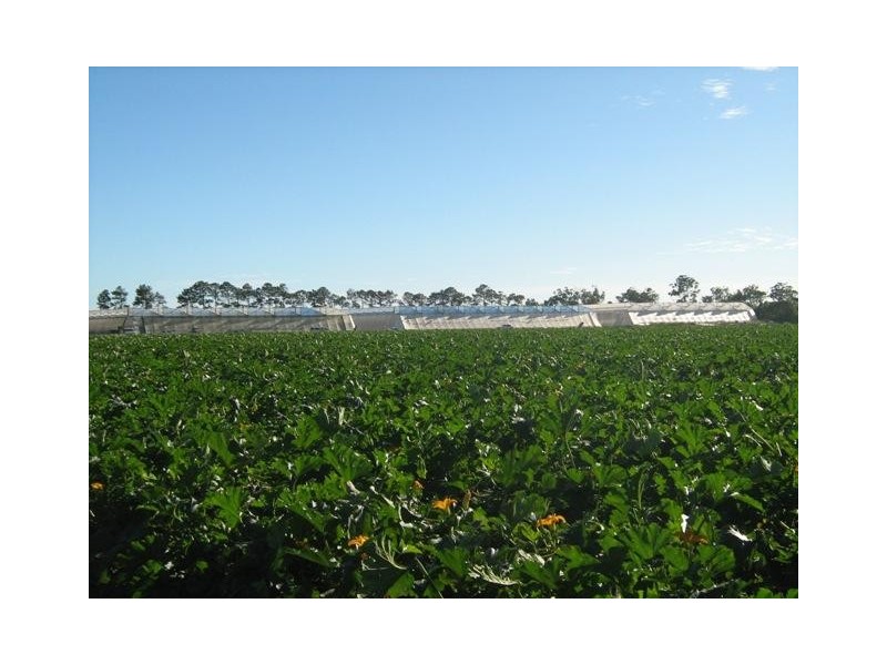 L1&86/101 Fallons Rocks Road, Calavos QLD 4670