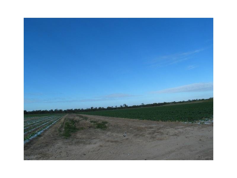 L1&86/101 Fallons Rocks Road, Calavos QLD 4670