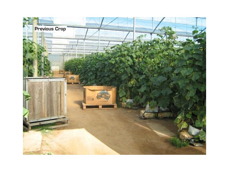 L1&86/101 Fallons Rocks Road, Calavos QLD 4670